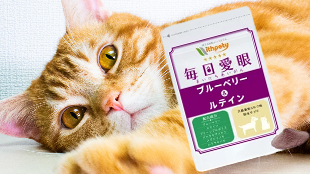 獣医師も認める！愛猫の目の健康に！　毎日愛眼　ブルーベリー＆ルテイン